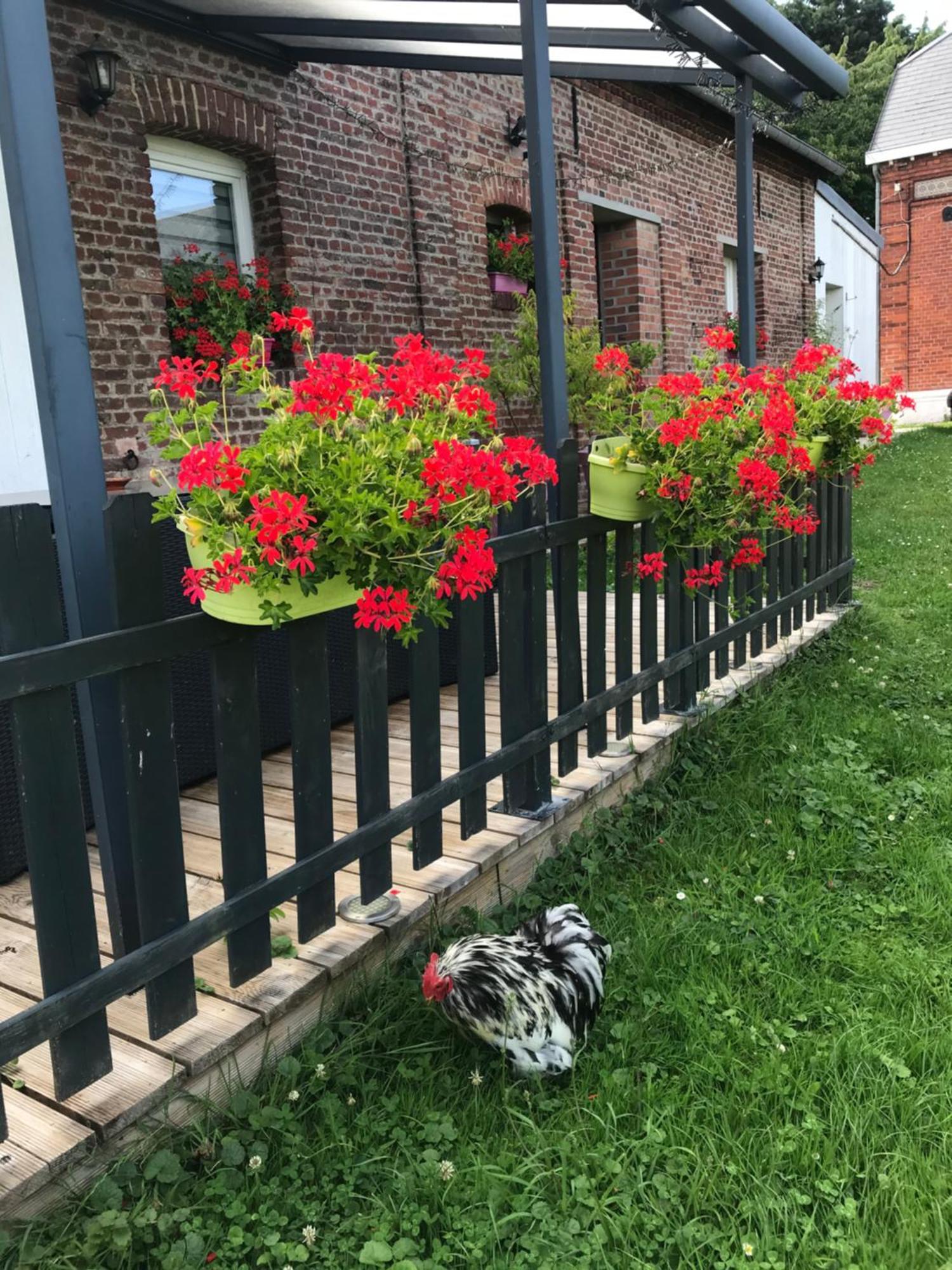 Chambre D'Hotes "Coquelicot" Nurlu 外观 照片